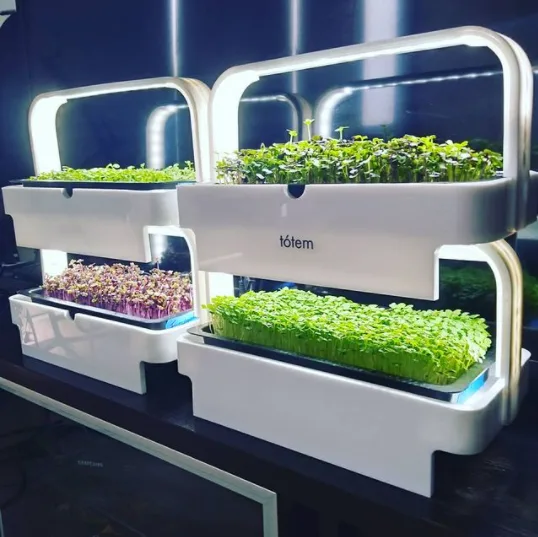 totem-hydroponics 22