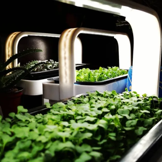 totem-hydroponics 24