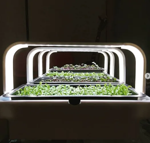 totem-hydroponics 25